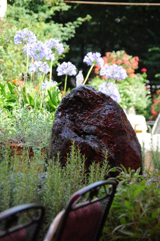 Hotel Restaurant Sonnenhof Weyerbusch エクステリア 写真